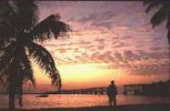 Charlotte Harbor Sunset